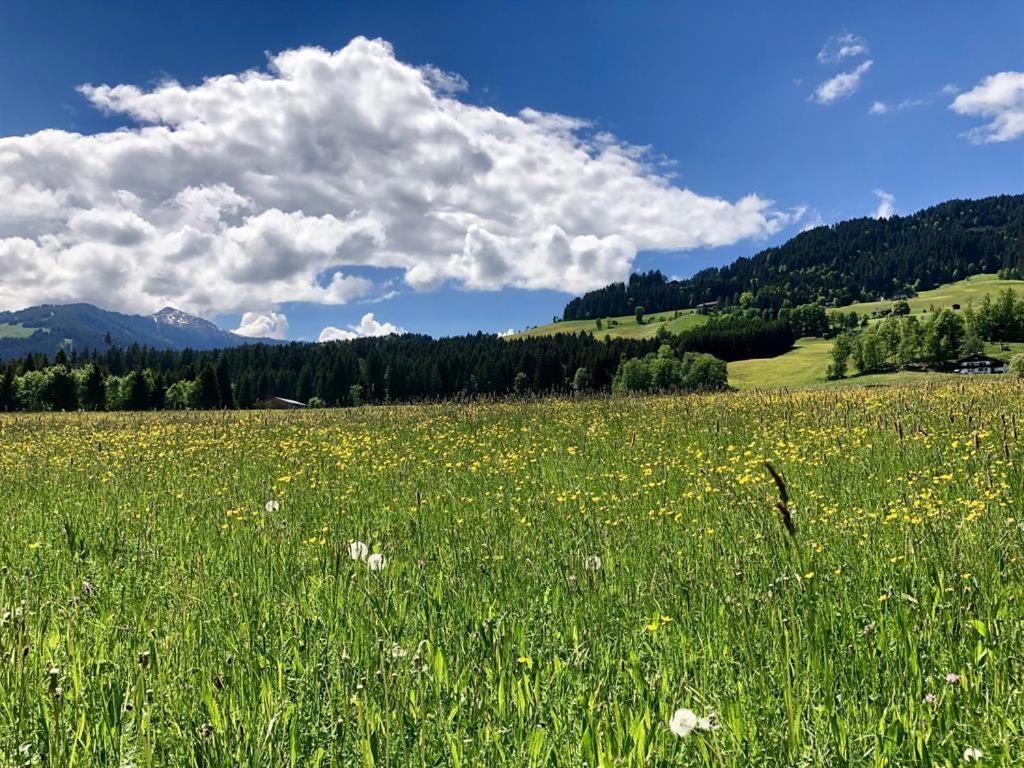 Pension Heidelberg - Fam Fuchs Hopfgarten im Brixental Esterno foto